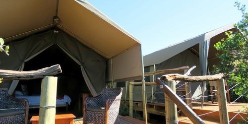 Amakhala Eastern Cape Safari Accommodation Woodbury Tent Family Double Min