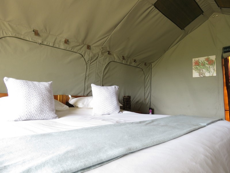 Amakhala Woodbury Tented Camp King Tent Bed Min