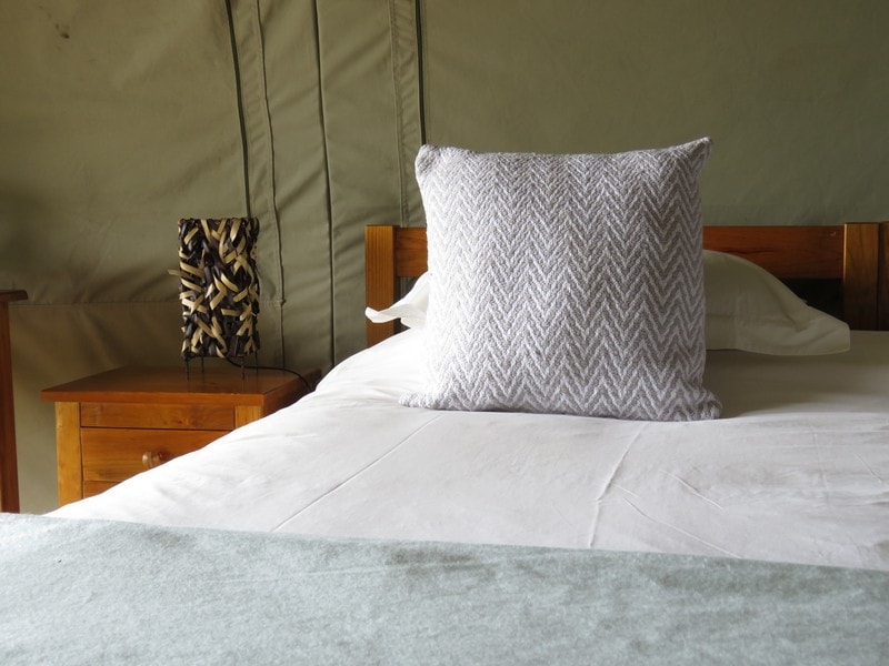 Amakhala Game Reserve Woodbury Safari Accommodation Tented Camp Bed Min